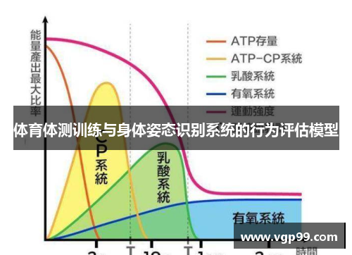 体育体测训练与身体姿态识别系统的行为评估模型